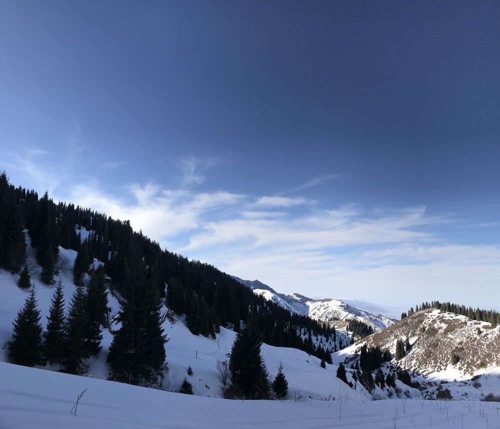 Photograph by Alexandra Kotlyar