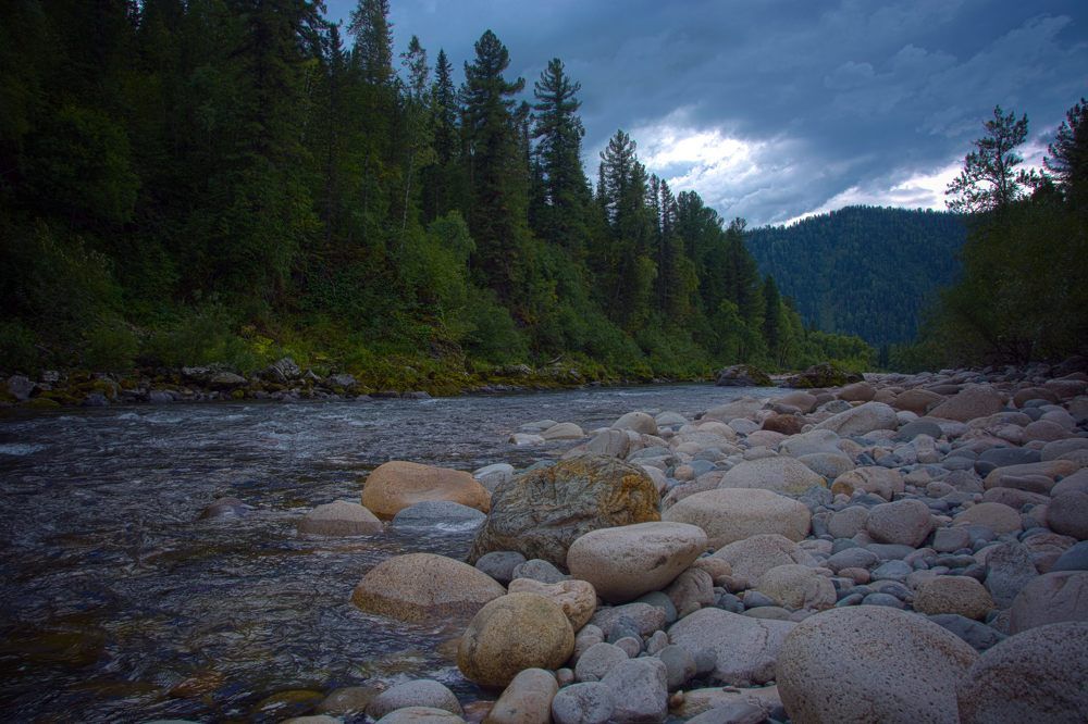 хмурая тайга