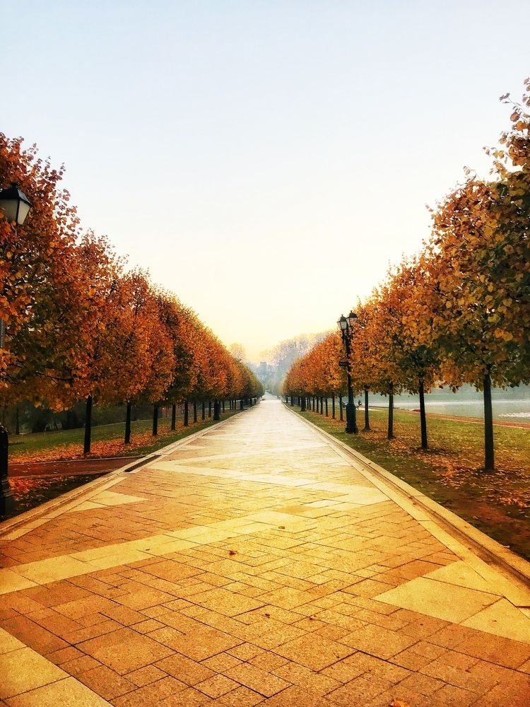 Photograph by Яна Лугинина