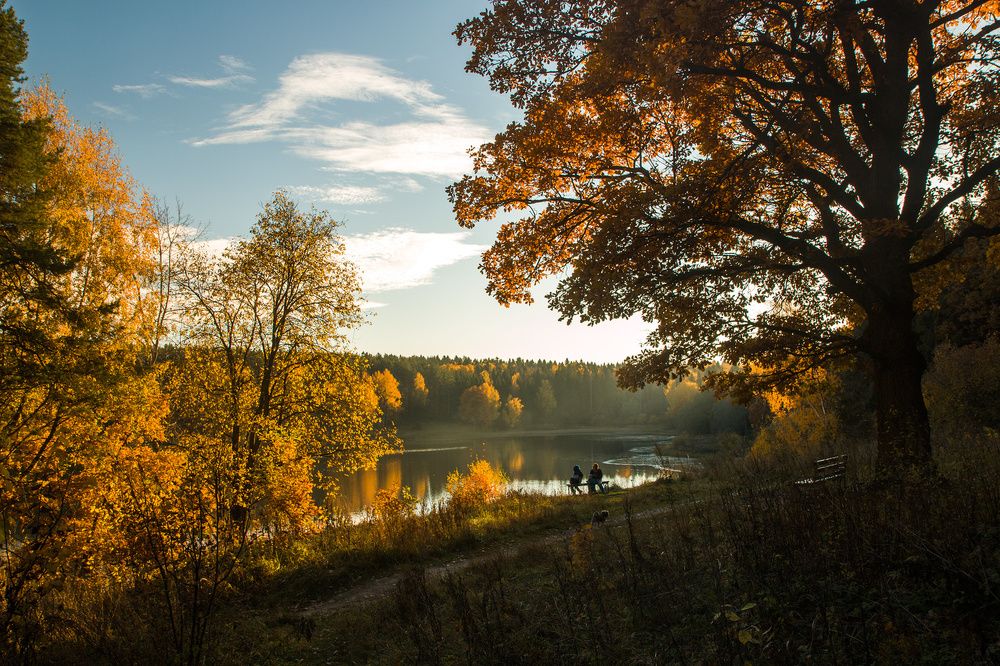 У осеннего озера