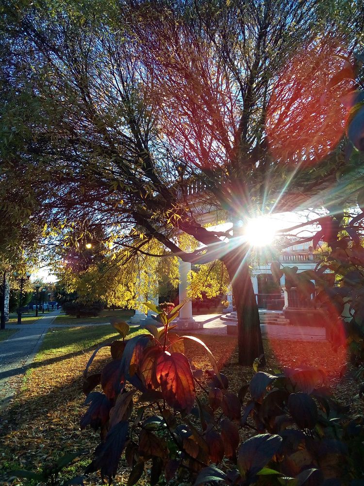 Photograph by Курочкина Диана