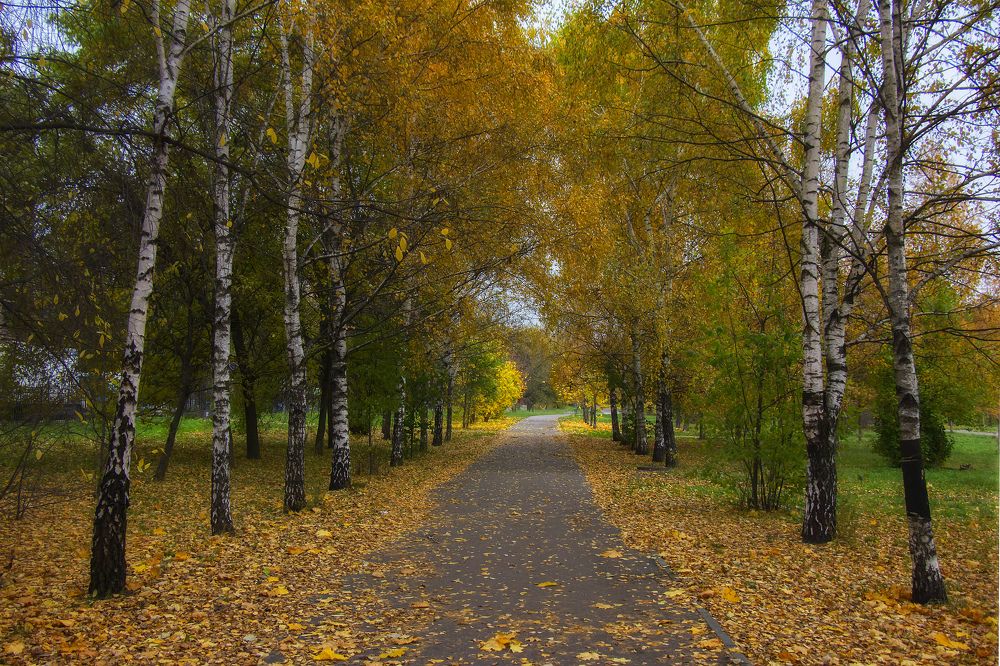 Золотая осень