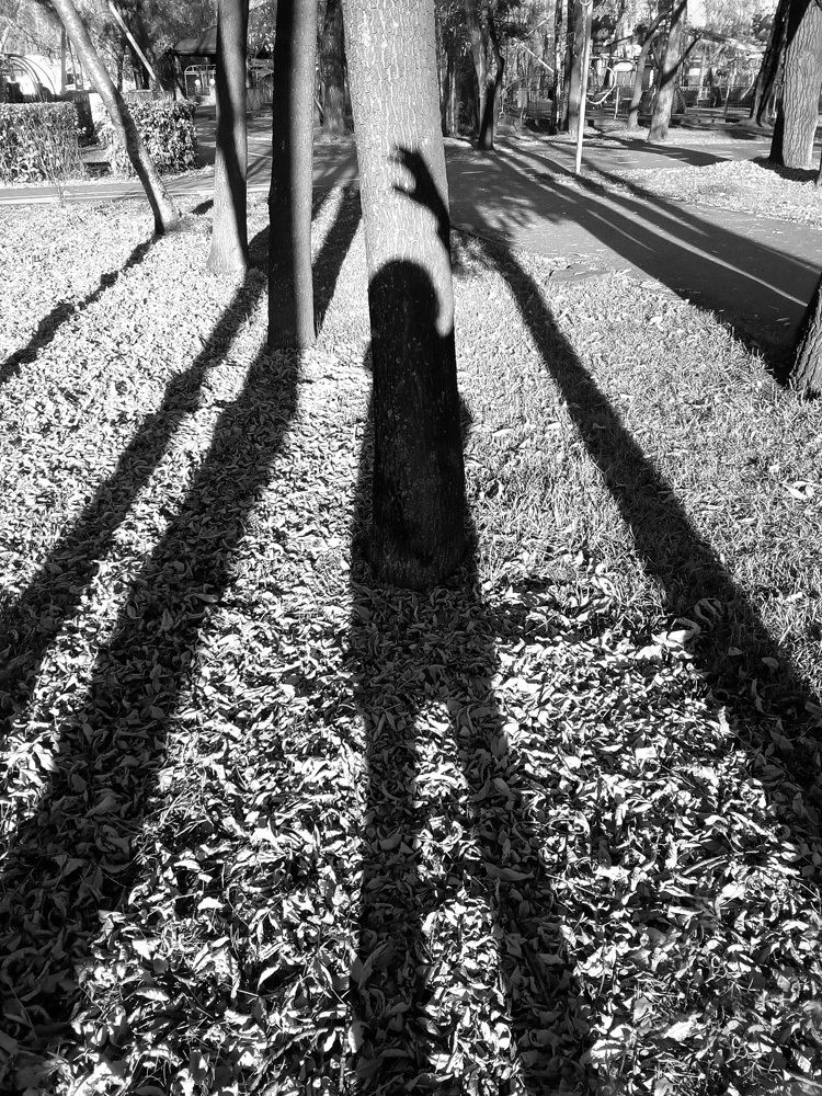 Photograph by Курочкина Диана