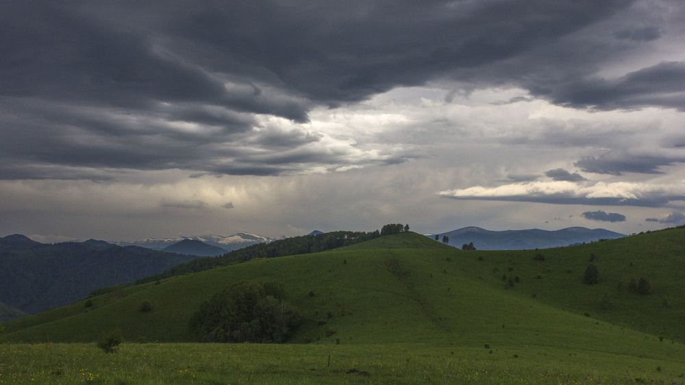 Перед грозой
