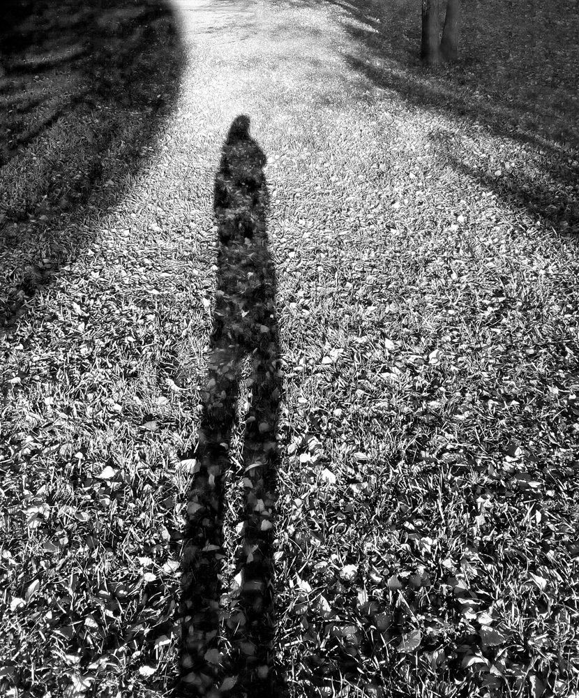 Photograph by Курочкина Диана