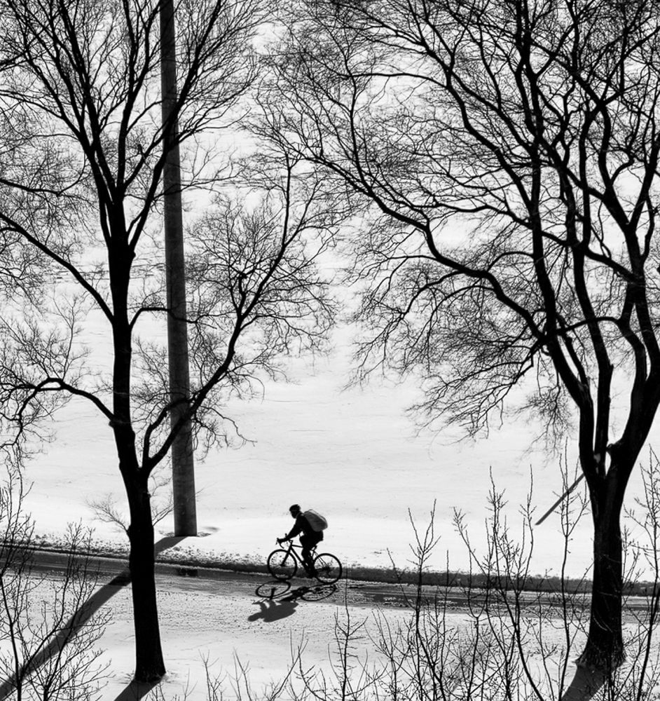This Shadow Follows Me in the snow