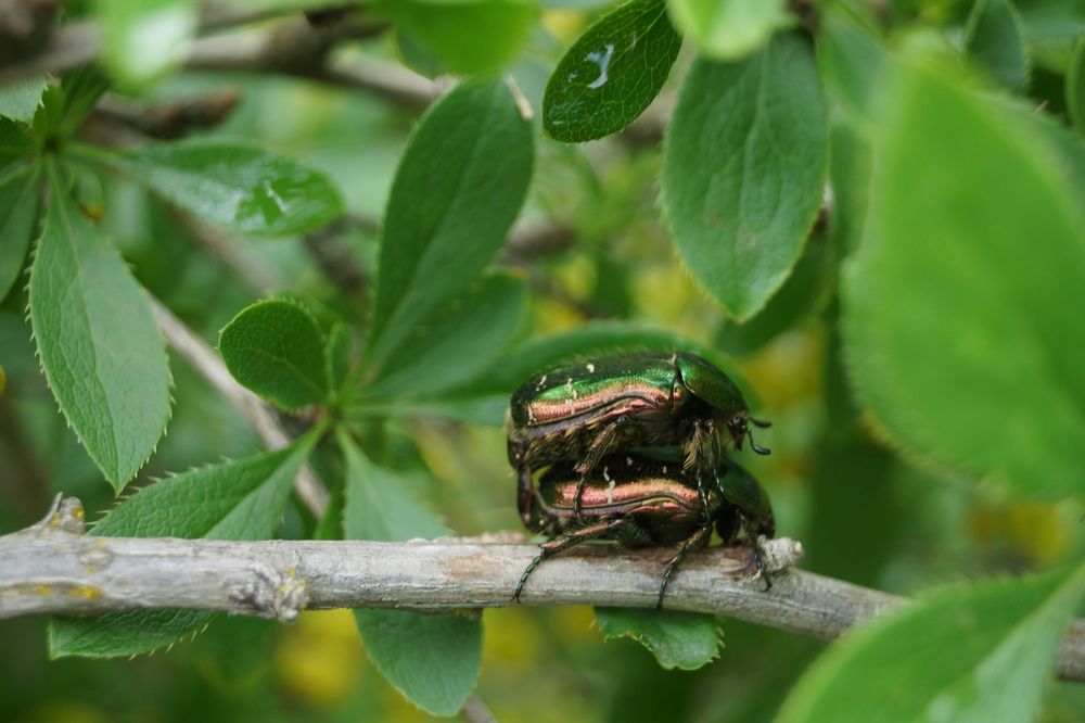 упс......извините)