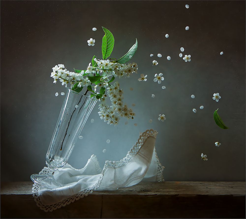 Весенний ветер