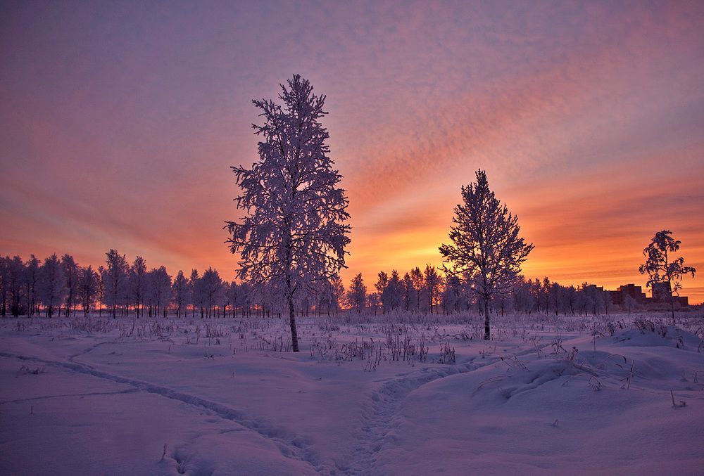 Зимний рассвет