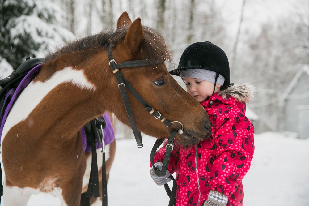 Мой милый друг