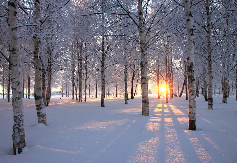 Зимние диагонали