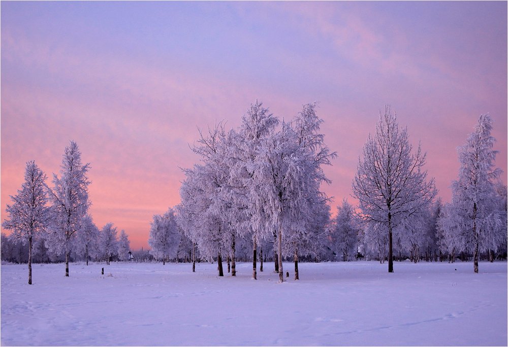 Лиловый зимний денек
