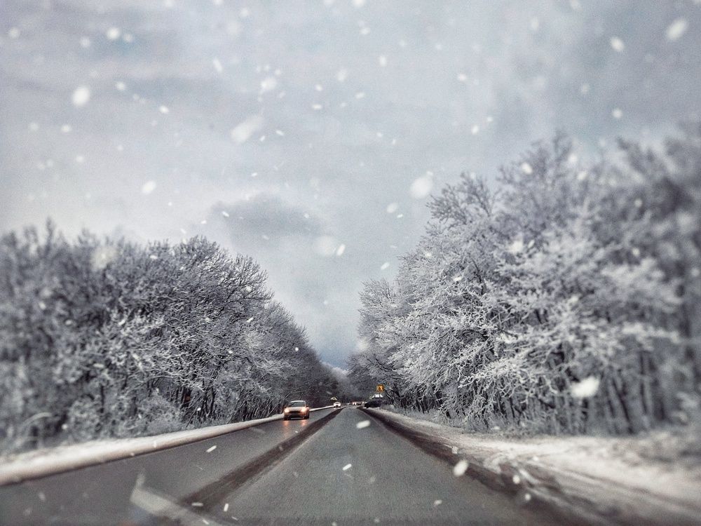 Дорога в сказку