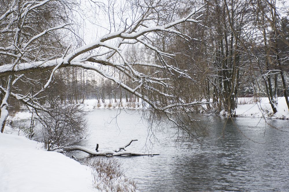 Зима на речке.