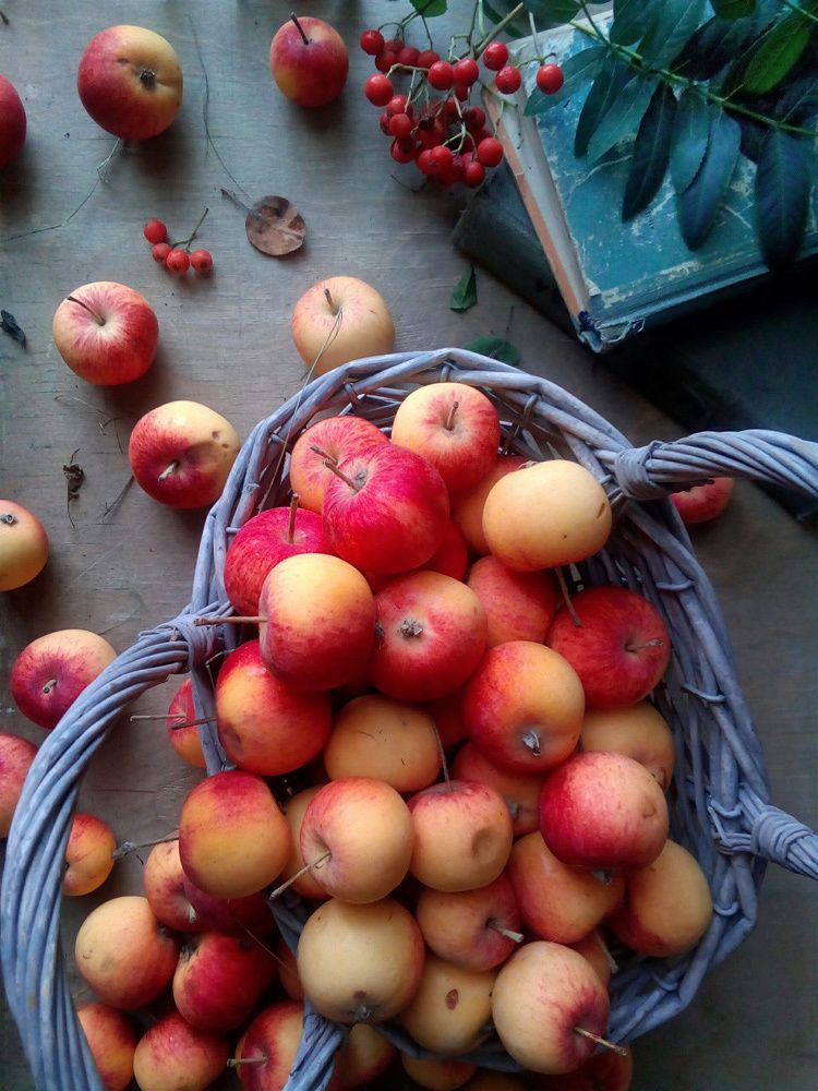 Photograph by Курочкина Диана