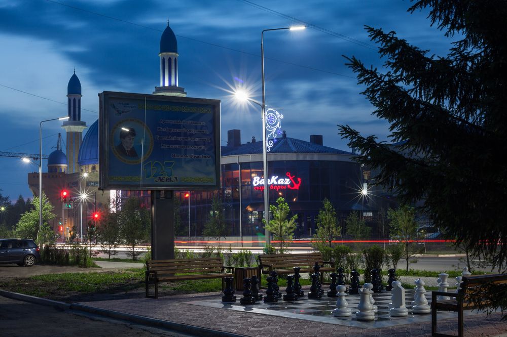 Шахматная доска