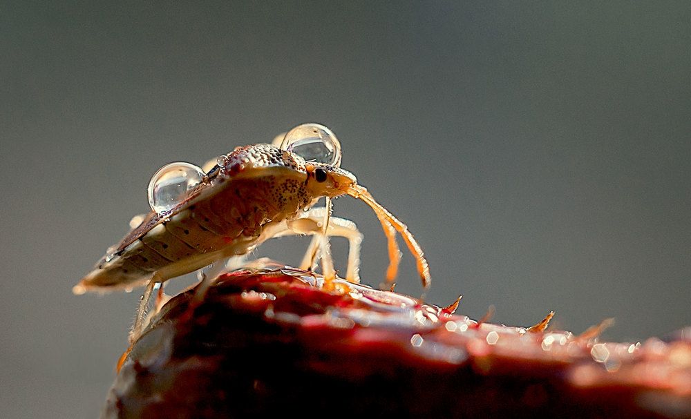 Photograph by Нурият Аллаярова