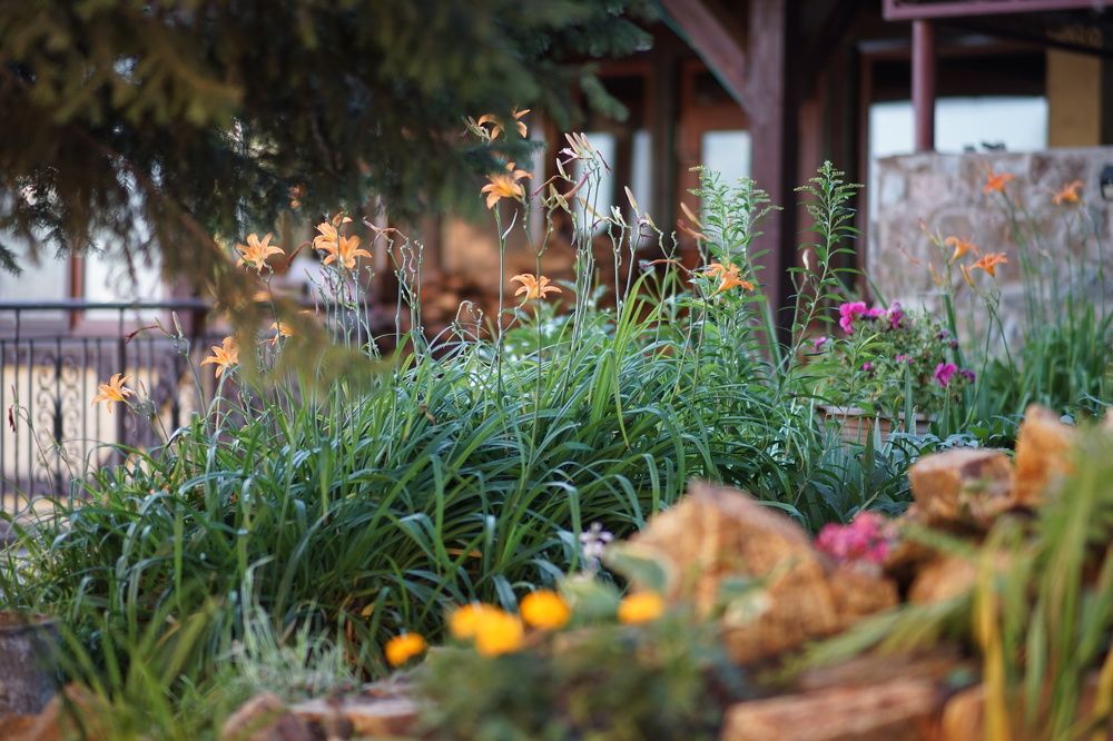 Фотография автора Алла Никитина