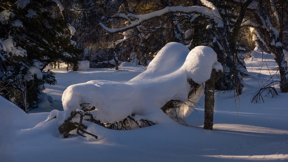 Причуды зимы