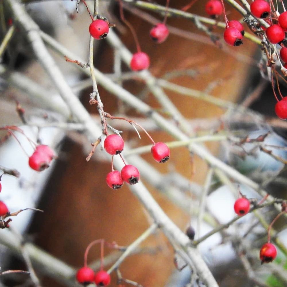 Фотография автора Vitalii Neborak