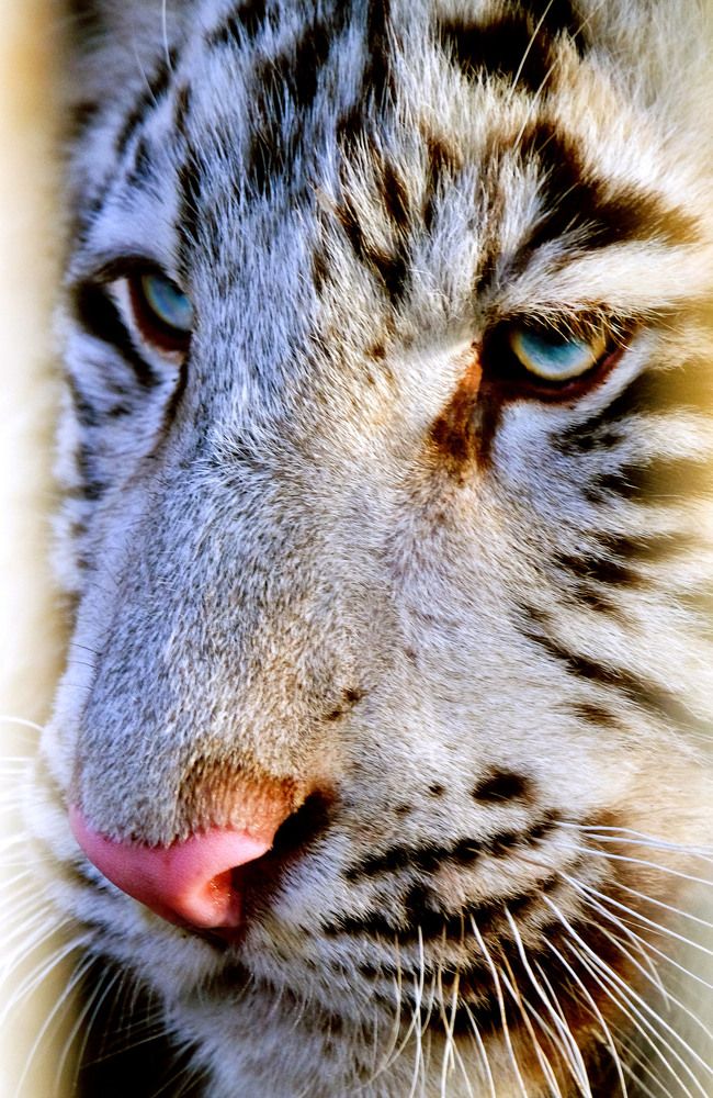 Photograph by Евгений Адаменко