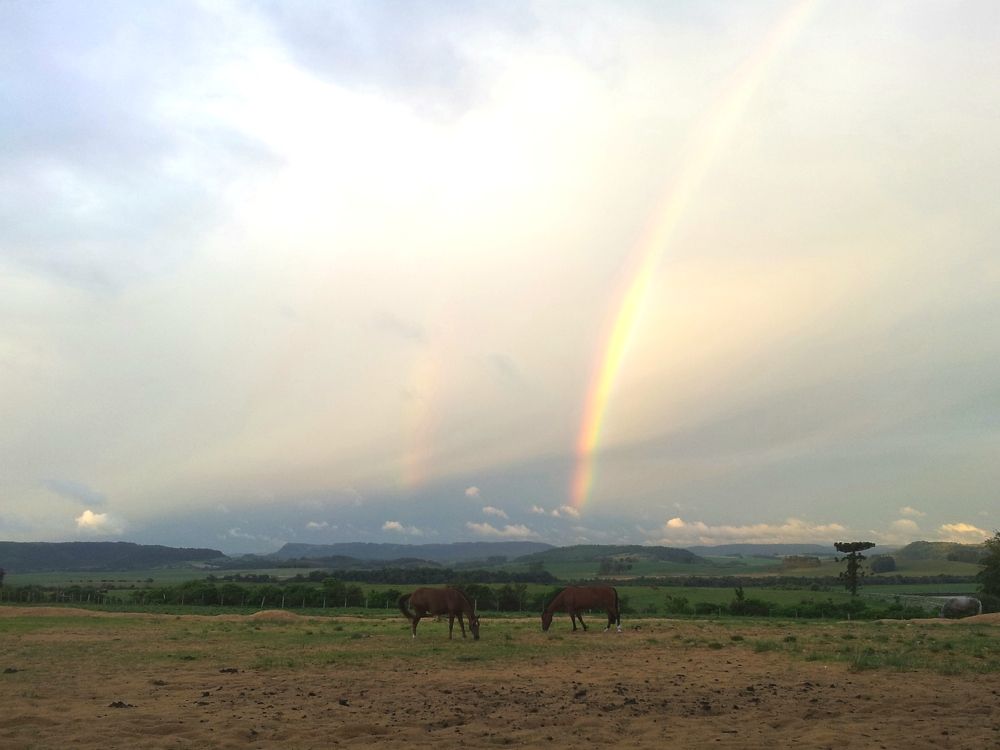 Double rainbow