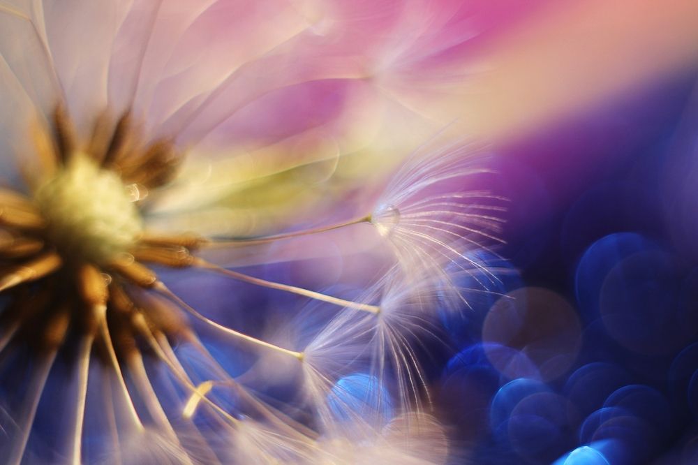 Парашютики