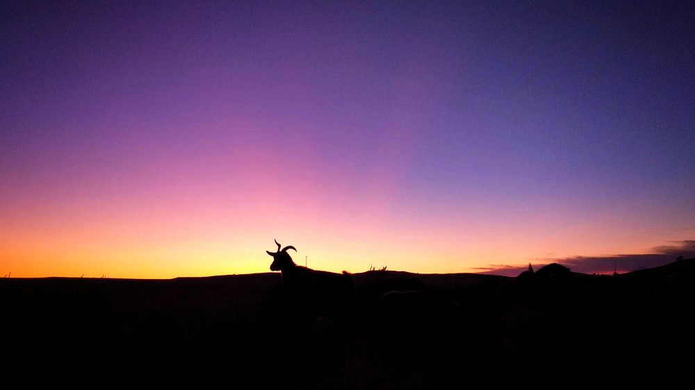 Последнее мгновение