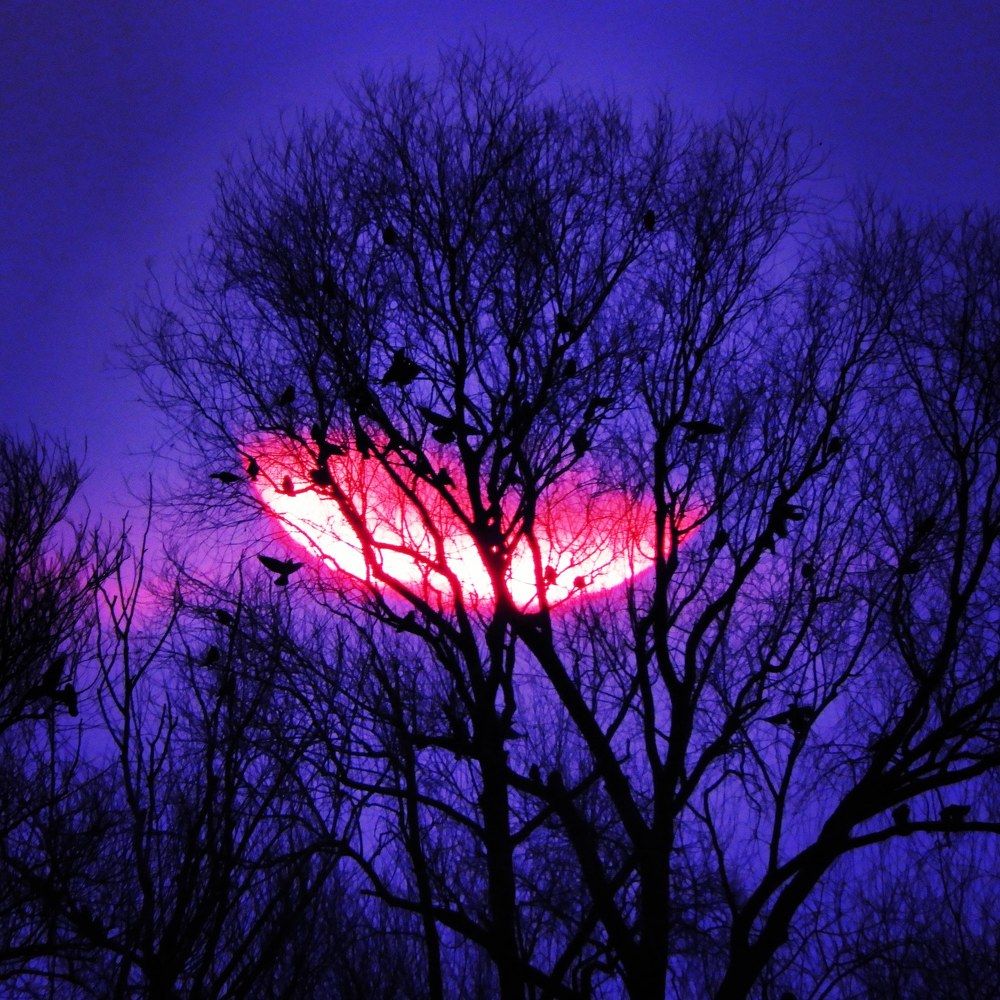 Фотография автора Vitalii Neborak