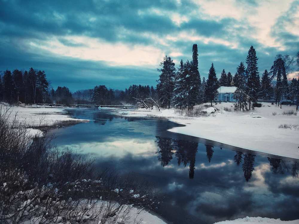 Краски зимы