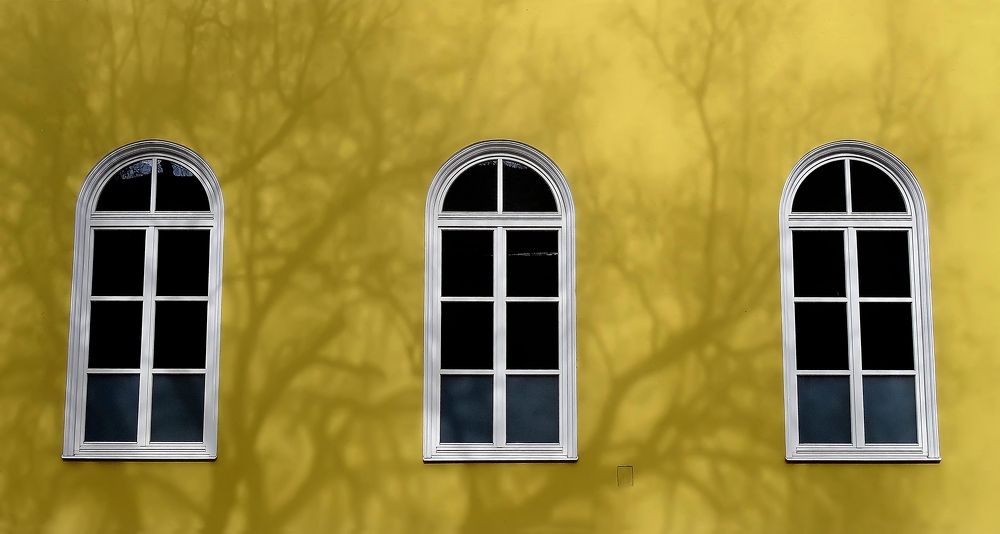 shadows