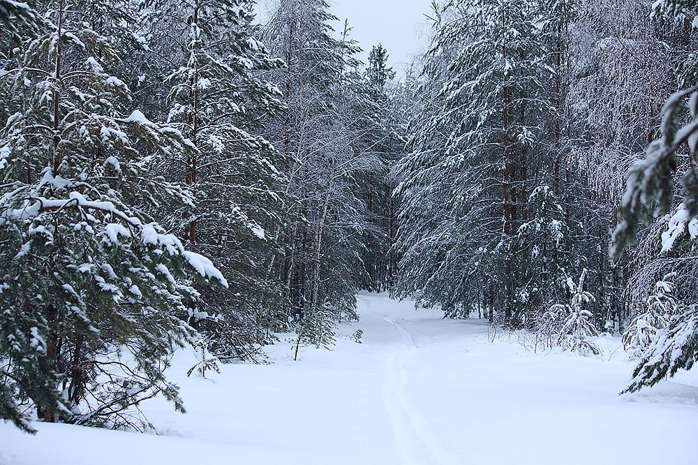 Photograph by Мария Сычёва