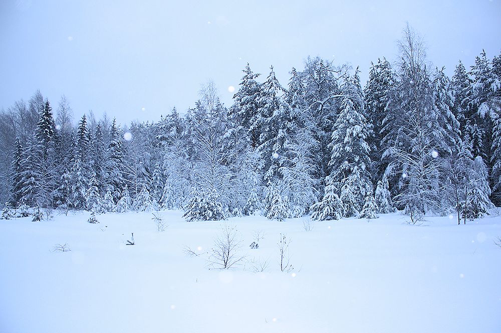 Photograph by Мария Сычёва