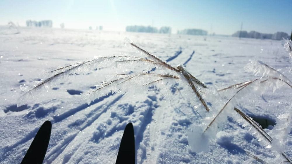 Гулять по лыжне со мной