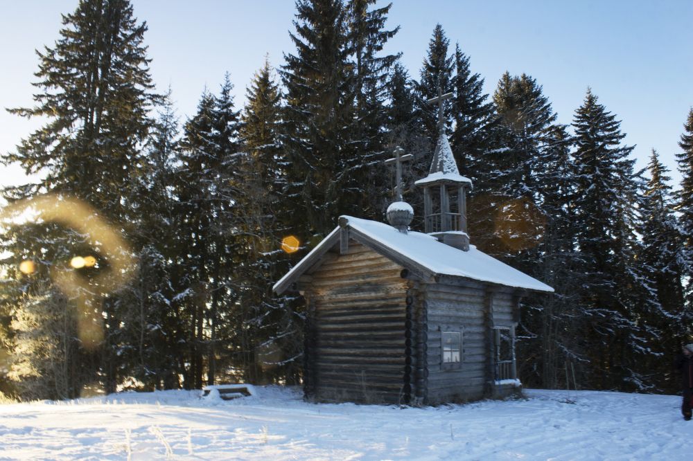 В лучах заходящего солнца.