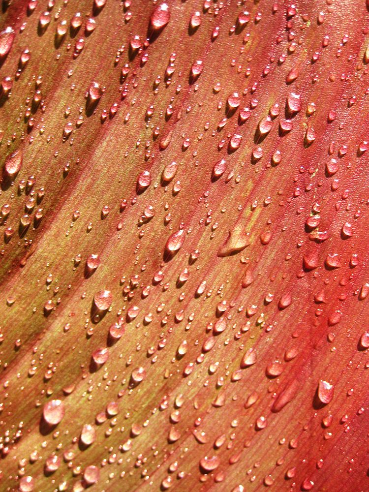 Photograph by Владимир