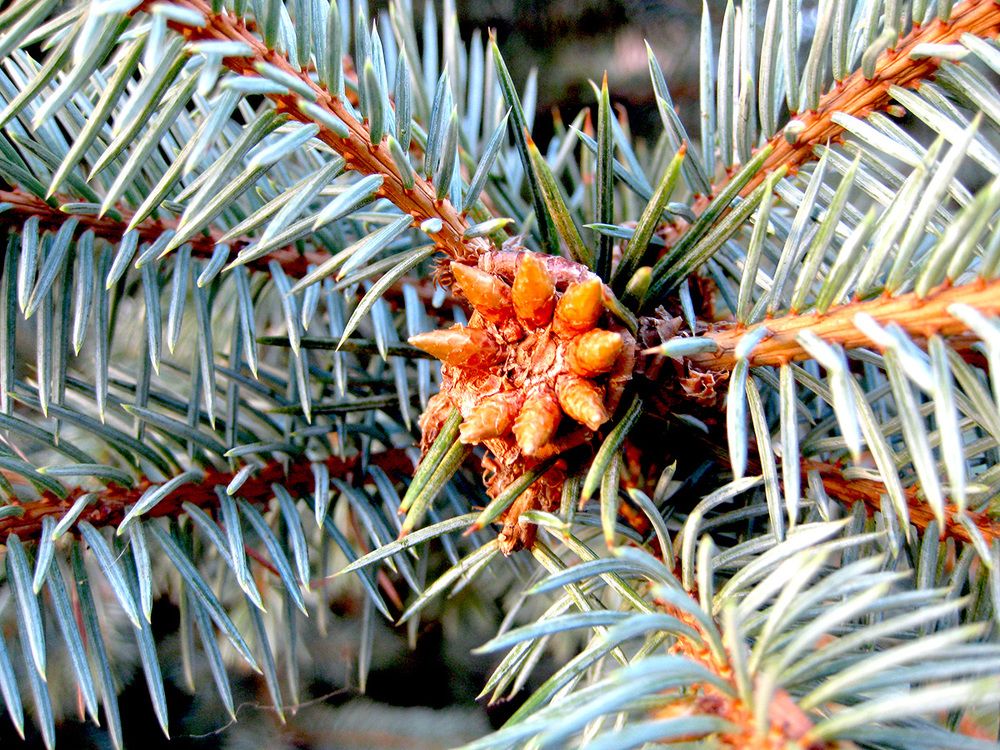 Photograph by Владимир