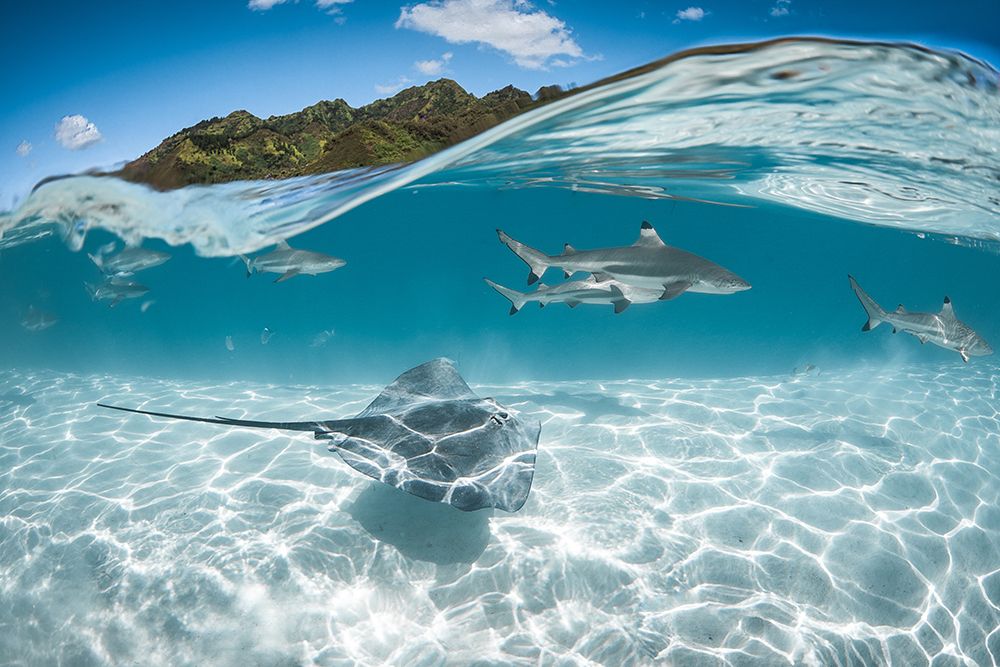 Under a wave in Moorea