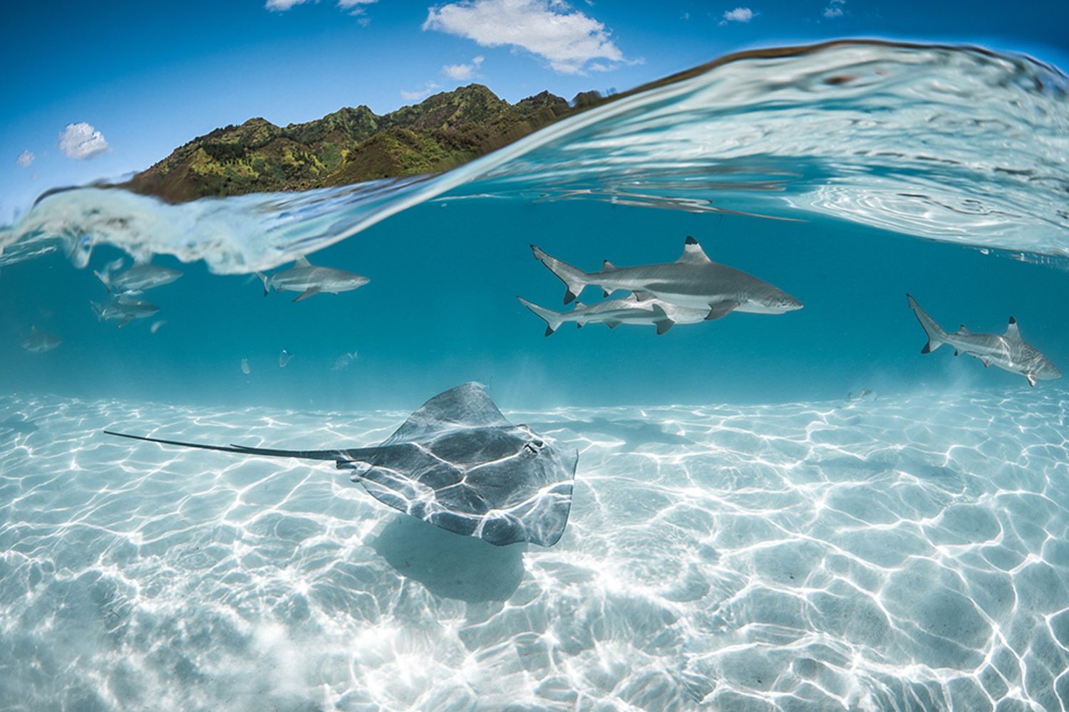 Under a wave in Moorea