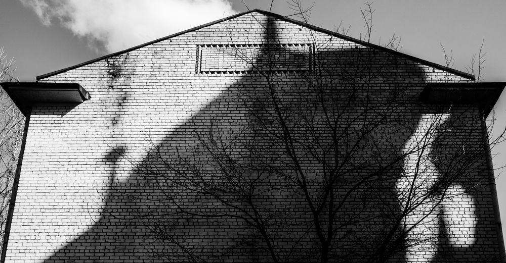 Тень, освящающая