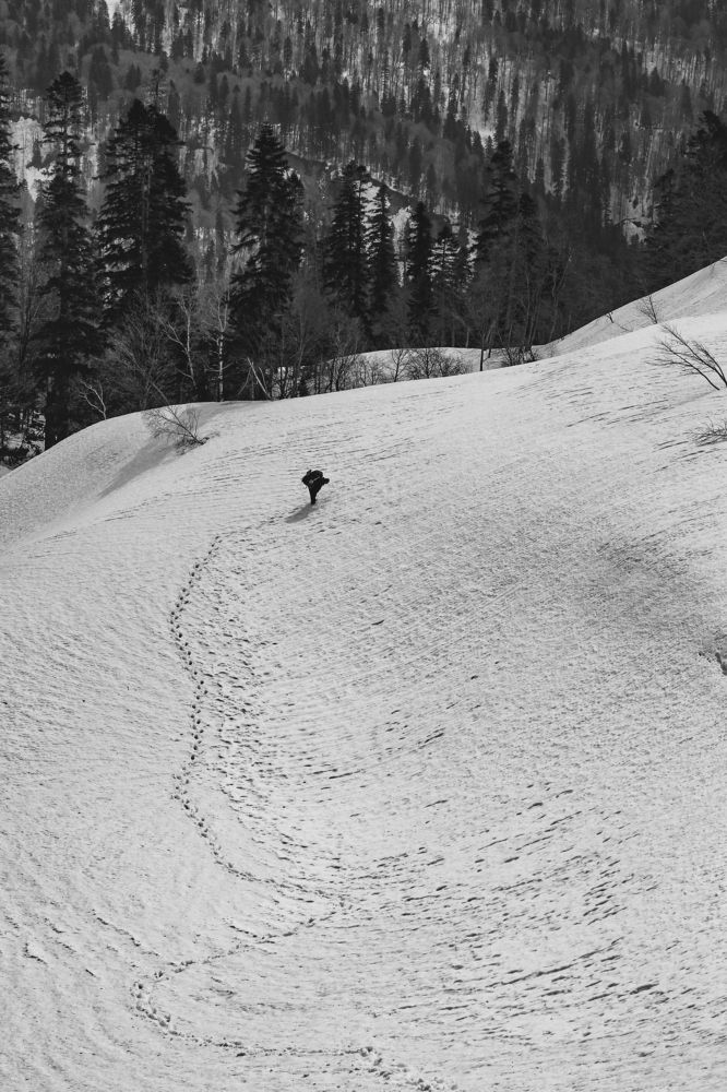 Photograph by Александр Пиленгас