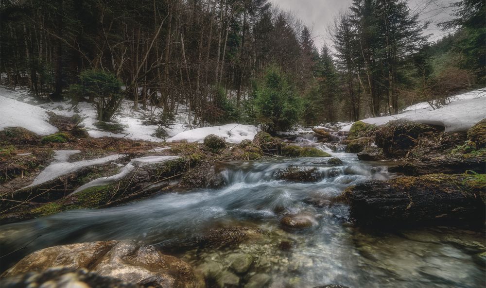 Photograph by Natalia Strelnik