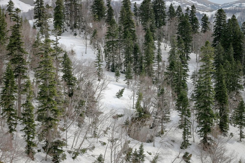 Photograph by Александр Пиленгас