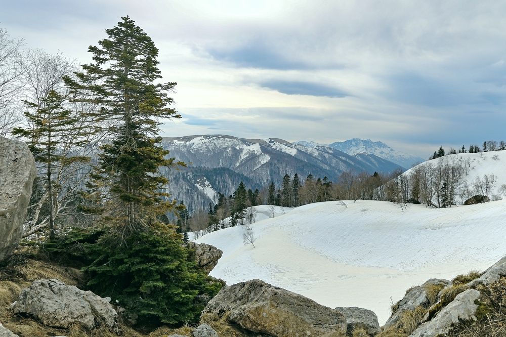 Photograph by Александр Пиленгас