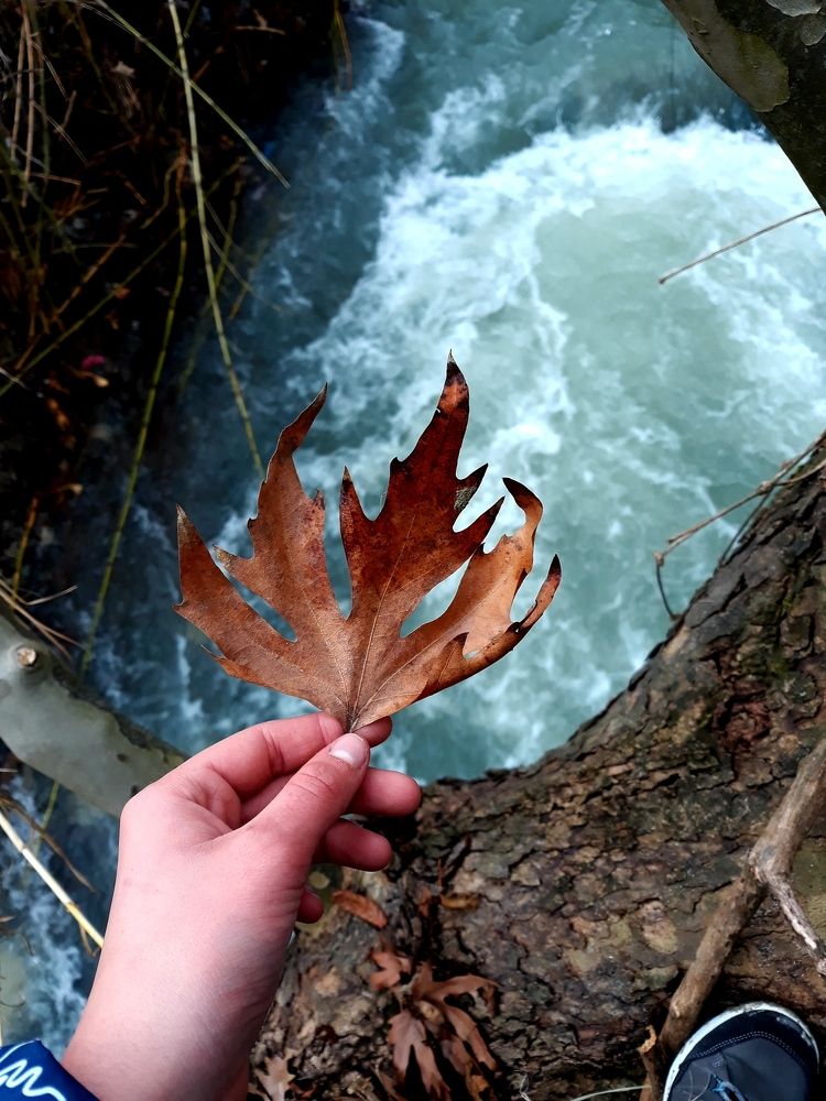 Against the current