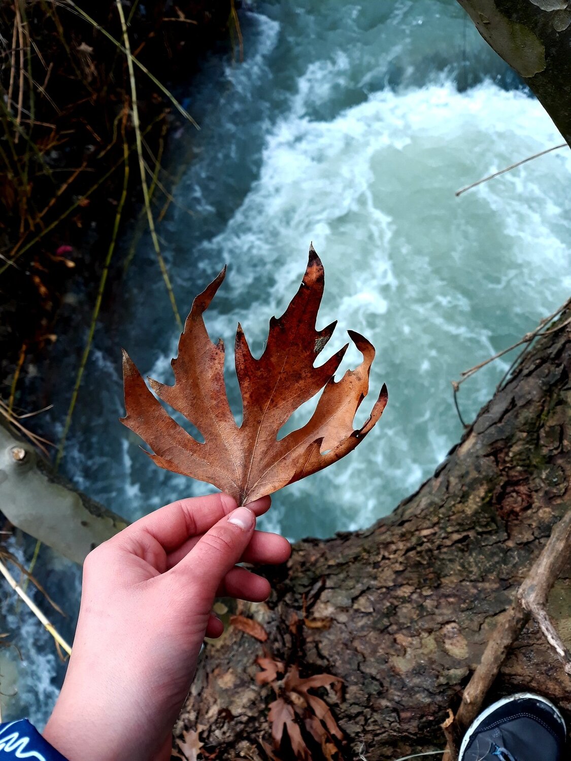 Against the current