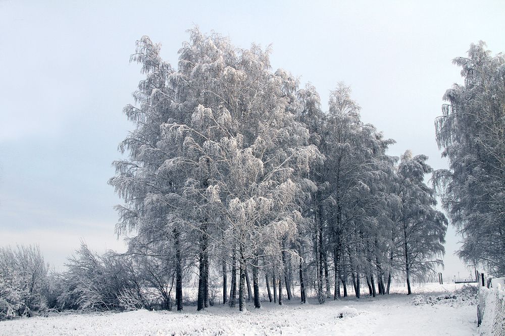 Photograph by Dzianis Mizhui