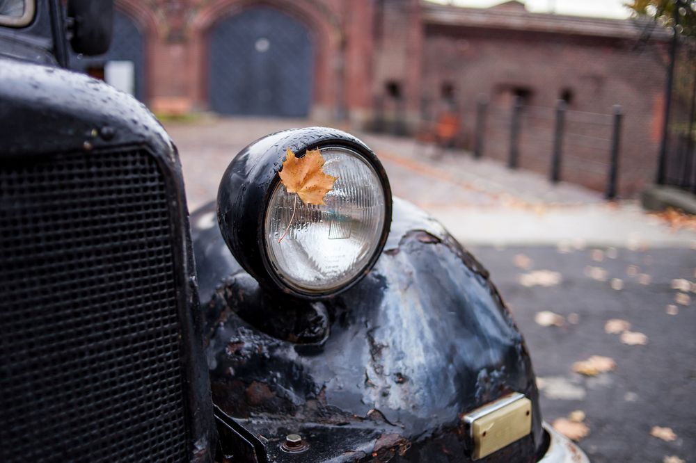 Photograph by Алёна Останкова