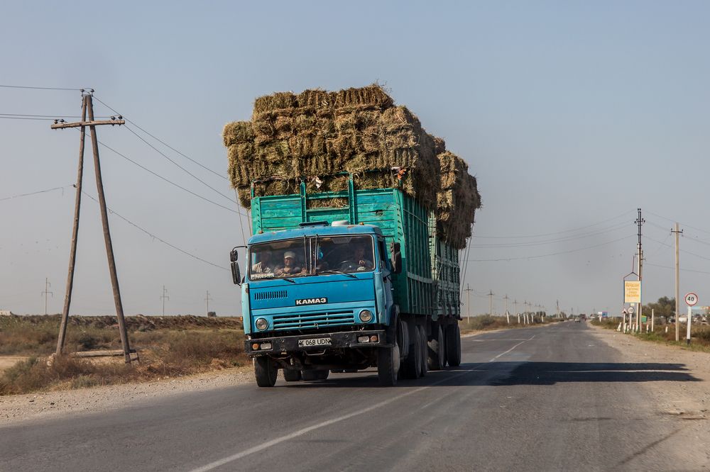 Photograph by Алёна Останкова