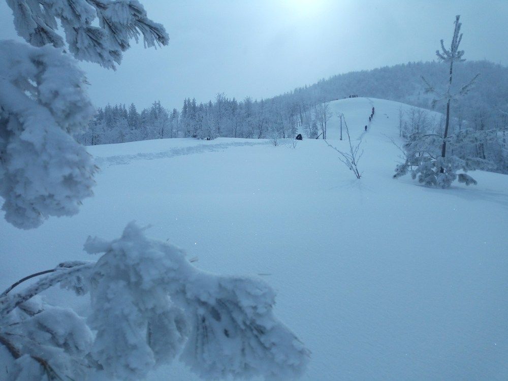 Photograph by Dritan Zaimi